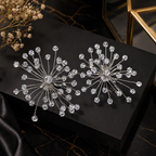 Crystal Burst Earrings